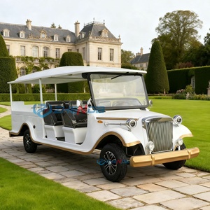 Electric Funeral Hearse Car Coffin Hearse Wagon Hearse Buggy Cart Horse Funeral Hearse Funeral Car Vintage Car Body - Product Image 4
