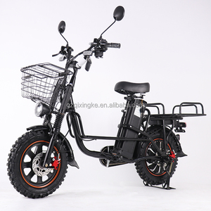 Fabricante de Bicicletas Eléctricas, Venta al Por Mayor a Precio Económico, Vehículo Eléctrico para Entrega de Carga y Alimentos, Configuraciones Personalizadas, Invierno - Product Image 4