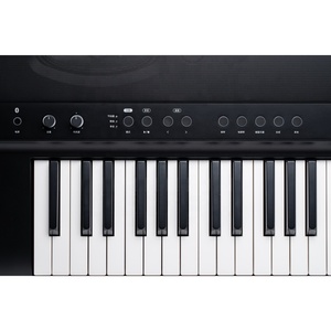 MEDELI Brand Portable Musical Instrument Sap200 <b>Model</b> 100 Songs 88 Keys Piano - Product Image 6