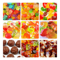 Machine à bonbons gélifiés OCEAN Jelly pour la fabrication de bonbons à la gélatine, le dépose de chocolat et le moulage de bonbons gélifiés, petite taille