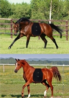 Couverture LED infrarouge mobile pour chevaux, équipement thérapeutique vétérinaire pour le bien-être équin, avec batterie intégrée et thérapie par lumière rouge