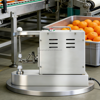 Industriële elektrische mango-, aardappel-, appel- en sinaasappelschilmachine voor restaurants, voedingsfabrieken en juicebars.