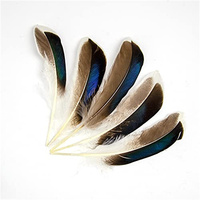 Plume de canard naturelle jaune pour Arts artisanat bricolage coiffure chapeau cheveux Costume accessoire carnaval fête mariage maison Halloween décor