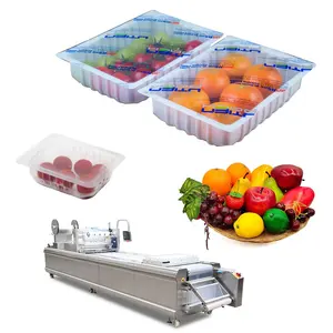 15 days shelf life fresh agriculture produce vacuum gas flush packaging machine equipment