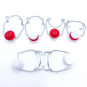 Vente en gros Bouteilles en verre scellées à boucle pivotante de 150ml 200ml 300ml 500ml 1l 1000ml Bocal en verre - Product Image 4