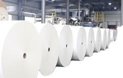 قابل للتحلل الحيوي PLA/PBS/ورق مطلي بالبولي إيثيلين كأس الطباعة ورقة كأس لفة - Product Image 4