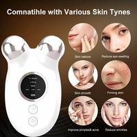 Mini appareil de massage facial à micro-courant pour raffermir la peau, sculpter le visage, réduire les poches et tonifier le visage avec technologie photonique
