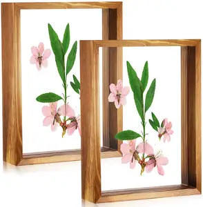 Wholesale Acrylic Floating Photo Frames Double Sided Wood Press Flower Plant Specimen Frame Artwork Dried Leaf Display Table