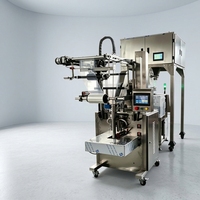 Machine à sachets de thé triangulaires en nylon à ultrasons pour thés noirs et aux herbes avec remplissage d'azote pour le conserver frais