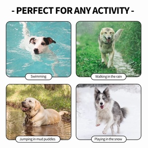 Collar y correa de nailon recubierto de PVC personalizado para perros y gatos, venta al por mayor, collar de perro de PVC de liberación rápida FI - Product Image 6