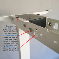Scrivania Elettrica OTi Moderna con Altezza Regolabile, Gestione Cavi, Lavoro Indipendente, Telaio Sit-Stand, Durata 3-5 Anni
