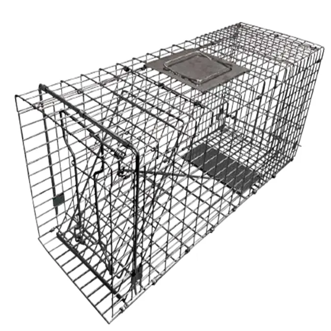 HomGarden 32 Zoll x 12 Zoll x 12,5 Zoll große lebende Tierfällige sicherer Fang Nagetier Waschbären streunende Katze Possum