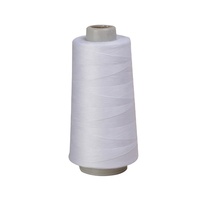 Hilo de Coser Teñido de Poliéster Hilado 100% Reciclado TKT120 de Alta Tenacidad 40/2 3000m Longitud Personalizada Taixing TX-SP 402 Resistente a la Abrasión
