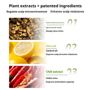 Venta al por mayor de fábrica, extracto de plantas naturales, Control de aceite fuerte, anticaspa, 72 horas, champú para eliminar el cuero cabelludo fresco, hombres y mujeres - Product Image 5