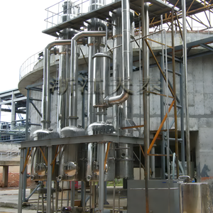 Concentrador de evaporador al vacío para procesamiento de miel y jarabe de arce - Product Image 4