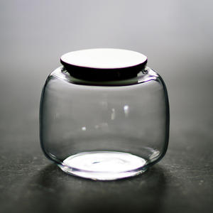 جرة صغيرة من الزجاج الطبيعي للمنزل والحديقة أصيص زهور من rarium لإيكولوجيا الطحلب وأواني المناظر الطبيعية والمزارع - Product Image 2