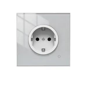 Tuya Zigbee Smart Stopcontact Glas Panel Outlet Power Monitor Extreem Soft Touch Plug Relais Status En Licht Modus