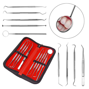 9 Pack Stainless Steel Dental Hygiene Kit Dental Picks <strong>Teeth</strong> <strong>Cleaning</strong> <strong>Tools</strong> - Product Image 6