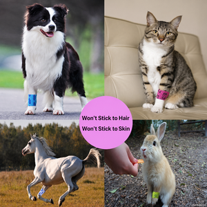 Kit de suppression des tiques et des <span class=keywords><strong>puces</strong></span> pour chats, chiens et chevaux - Consommables médicaux en acier inoxydable et plastique ABS - Product Image 4