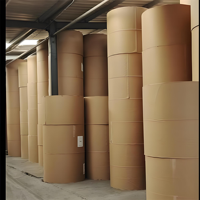Papier kraft enduit de PE sur mesure, 10-30 g/m², pour emballages de boulangerie, emballages de hamburgers et contenants alimentaires
