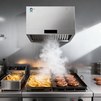 Campana Extractora de Acero Inoxidable de Bajo Volumen y Bajo Ruido, de Alta Eficiencia, Montada en Pared, Sin Ventilación, Certificación ISO9001 CE, para Restaurantes Occidentales y Cafeterías