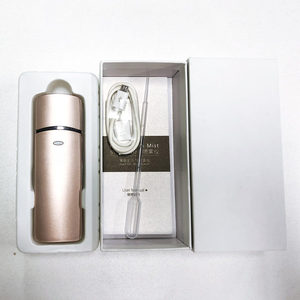 Mini Portable Pocket Handy Ion Disinfect Face Vapor Face Steamer Facial Nano Mist Sprayer Nano Spray