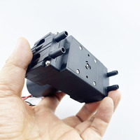 Portable Double Tête 6V/12V/24V Micro Diaphragme Pompe À Vide Haute Pression Négative BLDC-99kpa Alliage Flottant et Théorie D'aspiration