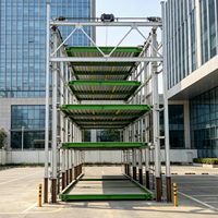 Système de stationnement de voitures à circulation multi-niveaux Tabitha, capacité de charge de 2000 kg, garantie de 5 ans, origine Shandong, fournisseur d'or PDX