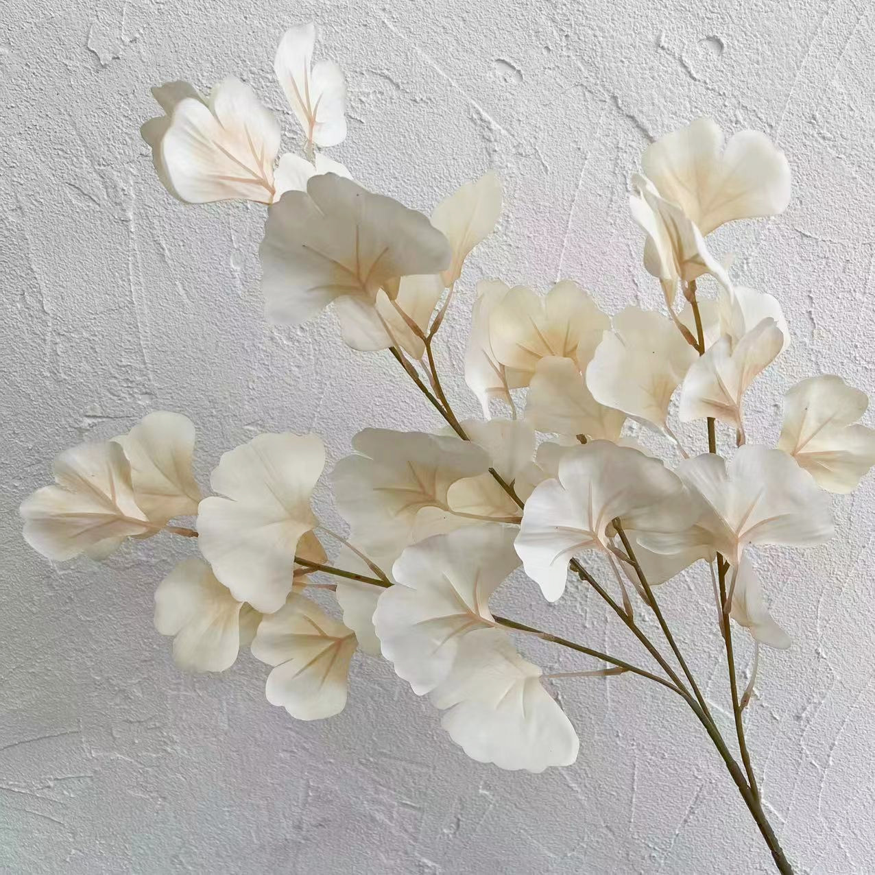 #4 feuilles de ginkgo biloba