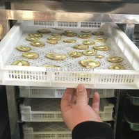 Nouveau Séchoir à Tambour LIJIE 500 KG pour Pommes de Terre, Patates Douces et Flocons de Fruits - Machine de Séchage Polyvalente à Longue Durée de Vie