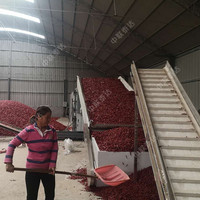 Nieuwe fabrieksdirecte verkoop DW gaasbanddroger met Ti-materiaalmotor voor het drogen van groenten, fruit en gras met automatische bediening
