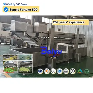 Automatic Vegetable Fruit Processing Line Large Steam Heating Potato Chips Cooking Machine Vegetable Blanching Machine