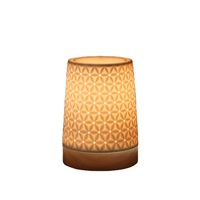 Brûleur d'encens moderne en céramique mate, diffuseur électrique de cire parfumée, lampe à parfum, diffuseur d'aromathérapie