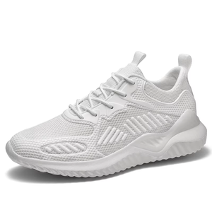 Chaussures de sport décontractées respirantes et légères pour les couples Baskets de course grande taille de haute qualité Semelle intérieure d'été en maille Automne Hiver - Product Image 1