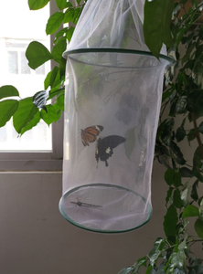 Bâtiment — cage en maille papillon, portable, transparente, pour portes, branches des insectes, pour élevage, vente directe, transportable - Product Image 6