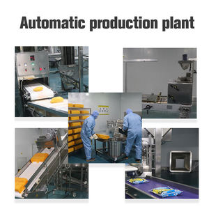 Zero Carb High Nutrition Kosher Organic Vegan Soybean Mung Red <strong>Spaghetti</strong> Fettuccini Vermicelli Pasta Noodles Bag Box Packaging - Product Image 4