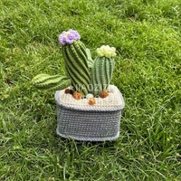 Pot de cactus créatif et unique en crochet fait main pour la décoration de la chambre à coucher, nouvel objet de décoration pour la maison