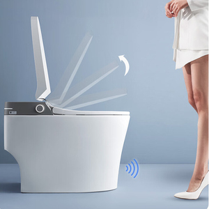 High-end Intelligent Sanitary Ware Floor Mounted Elongated One Piece Smart Toilet With Heated Seat and Remote Control AKB1102 Au - Product Image 2