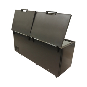 Congélateur horizontal profond pour la conservation de l'eau, des glaces, du homard et du thon, pour usage commercial et domestique - Product Image 5
