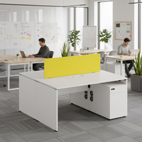 Bureau de travail professionnel à double rangée, système de connexion ABS, mobilier de bureau d'équipe, structure en acier
