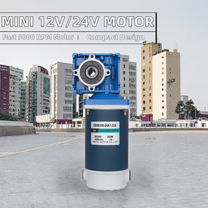 12V/<strong>24V</strong> <strong>DC</strong> 30W 80W 1800rpm Outboard Bike Electric <strong>Motors</strong> With Worm Gear Speed Reducer - Product Image 3