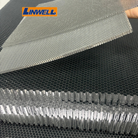 Noyau en nid d'abeille micro-poreux en aluminium 3003 de 20 mm pour blindage EMI, filtration d'air, panneau structurel perforé léger