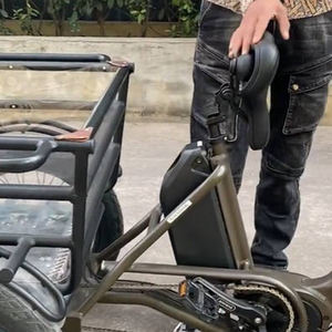 RaiderTrike-C202 20 pouces électrique Ebike <span class=keywords><strong>750W</strong></span> moteur gros pneu 3 roues E vélo Tricycle adulte Cargo vélo électrique avec grand panier - Product Image 5