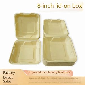 Contenedores de Alimentos Compostables de Pulpa de Bambú de 8 Pulgadas, Contenedor con Bisagras Resistente, Caja Ecológica Natural para Llevar - Product Image 2
