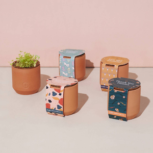 Vente chaude moderne 3000 Pc Kit de culture en <span class=keywords><strong>terre</strong></span> <span class=keywords><strong>cuite</strong></span> mignon petit Pot de fleur blanc avec merci marguerites pot de germination pour les jardins - Product Image 6