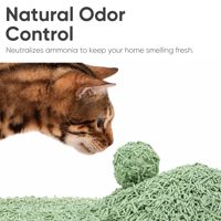 Litière pour chat au thé vert et au tofu, agglomération rapide, sans poussière, sable pour chat, fabricant OEM ODM