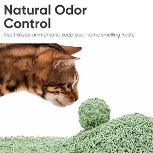 ทรายแมวเต้าหู้ชาเขียว จับตัวเป็นก้อนเร็ว ปราศจากฝุ่น ผู้ผลิต OEM ODM - Product Image 4