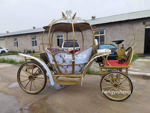 Chariot Citrouille Scintillant pour Balades Nocturnes - Élégante Carrosse <span class=keywords><strong>de</strong></span> Cendrillon pour Fêtes sur le Thème des Princesses - Product Image 2