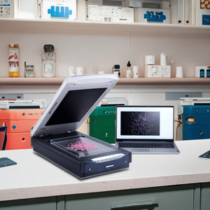 Analisador de Precisão para Processamento de Amostras de Arroz, Medidor de Detecção de Precisão para Processamento de Arroz, Detector Automático de Precisão para Processamento de Arroz - Product Image 2