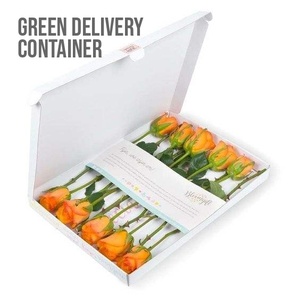 ODM Design Sustainable <b>Mailing</b> Solutions Custom Flower Shipping <b>Box</b> 100% Recyclable Corrugated Gift Packaging - Product Image 1